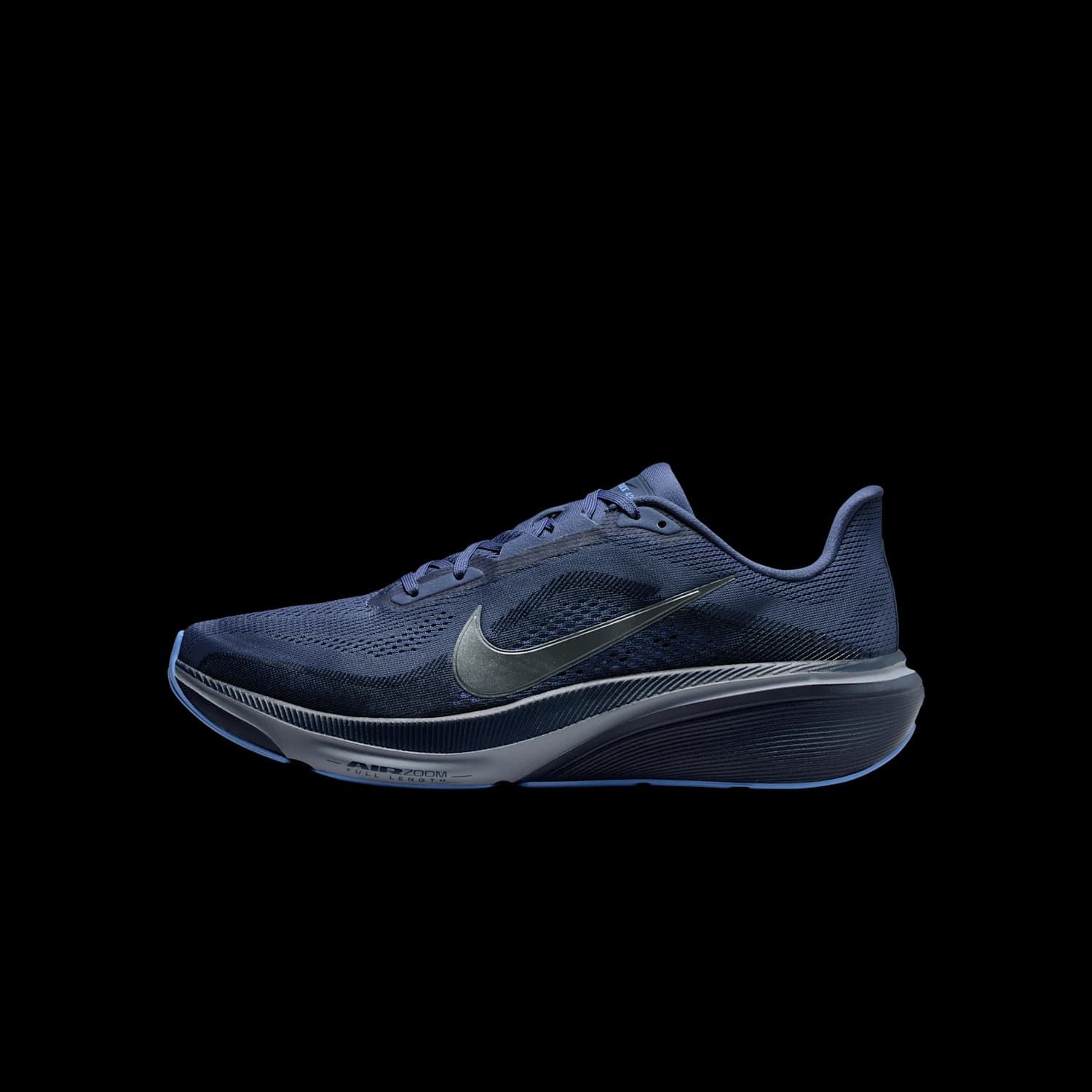 BRB NIKE Pegasus 42 IB1873-401 product image