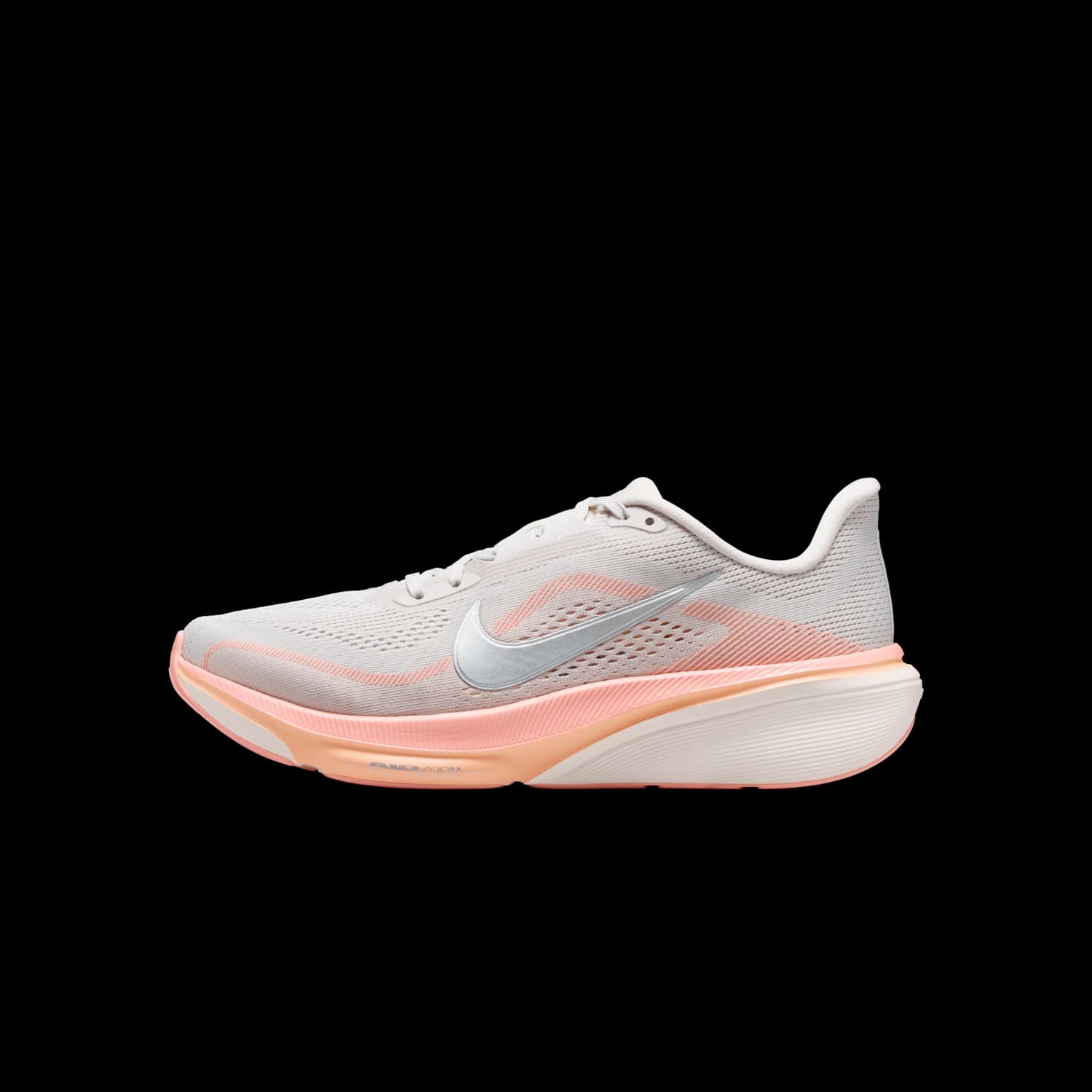 BRB NIKE Pegasus 42 IB1881-002 product image