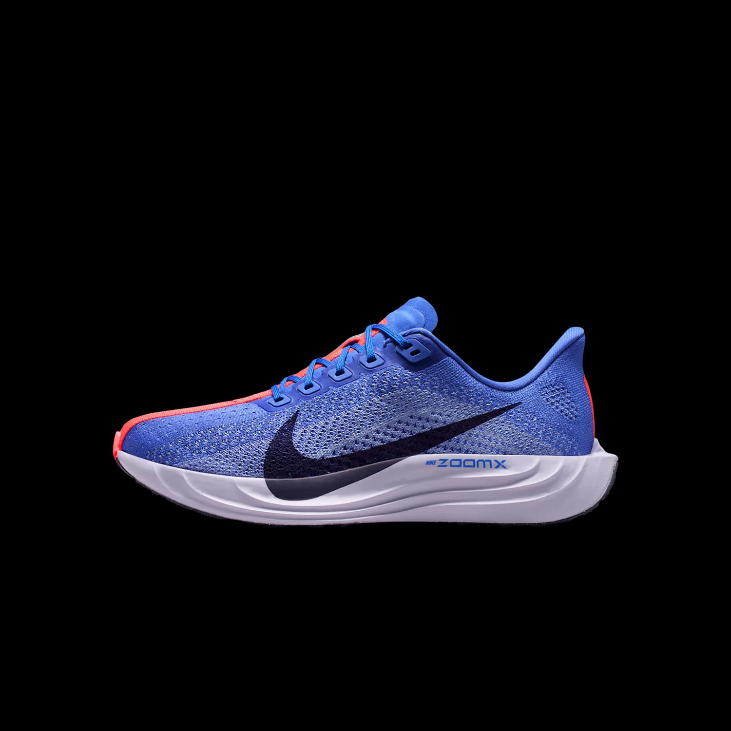 BRB NIKE Pegasus Plus FQ7261-503 product image