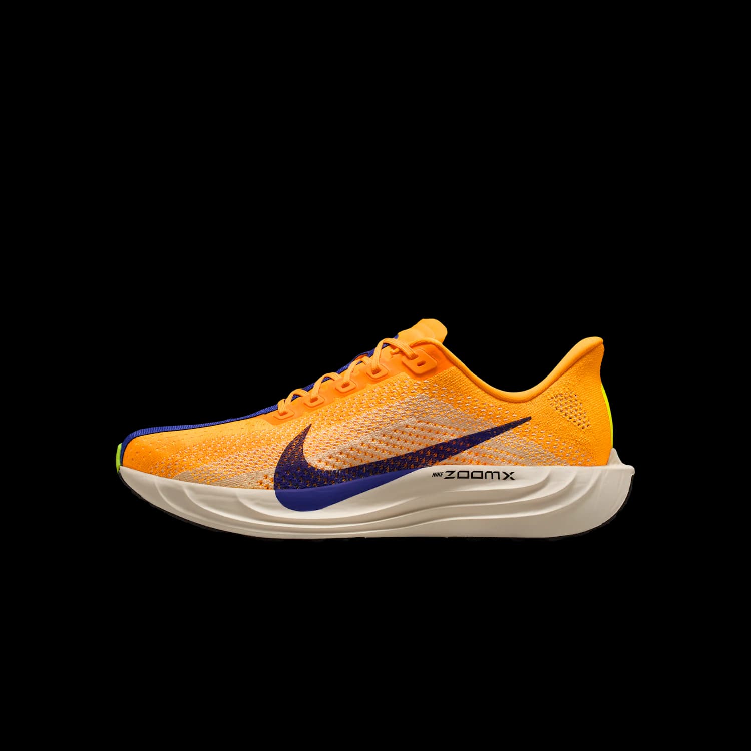 BRB NIKE Pegasus Plus FQ7262-801 product image