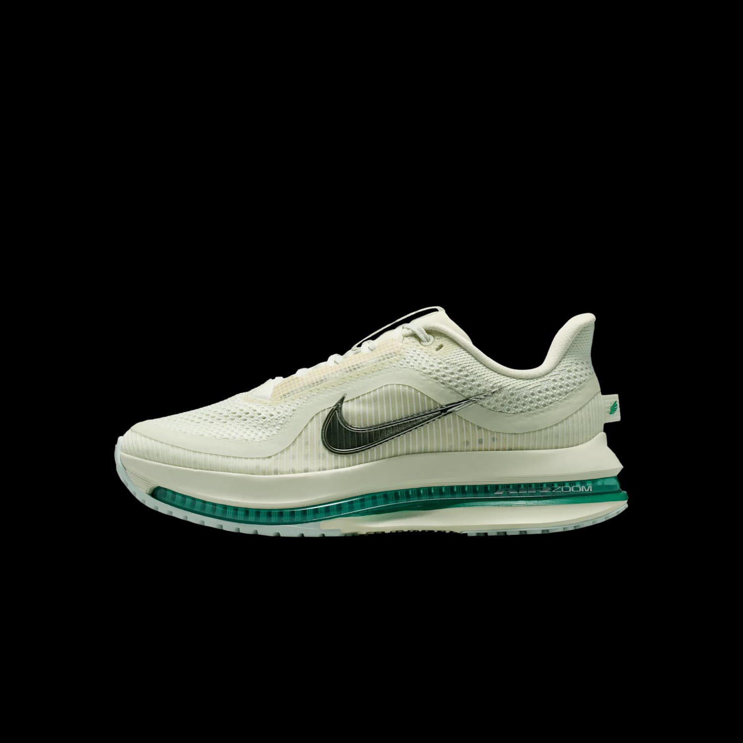 BRB NIKE Pegasus Premium HQ2593-008 product image